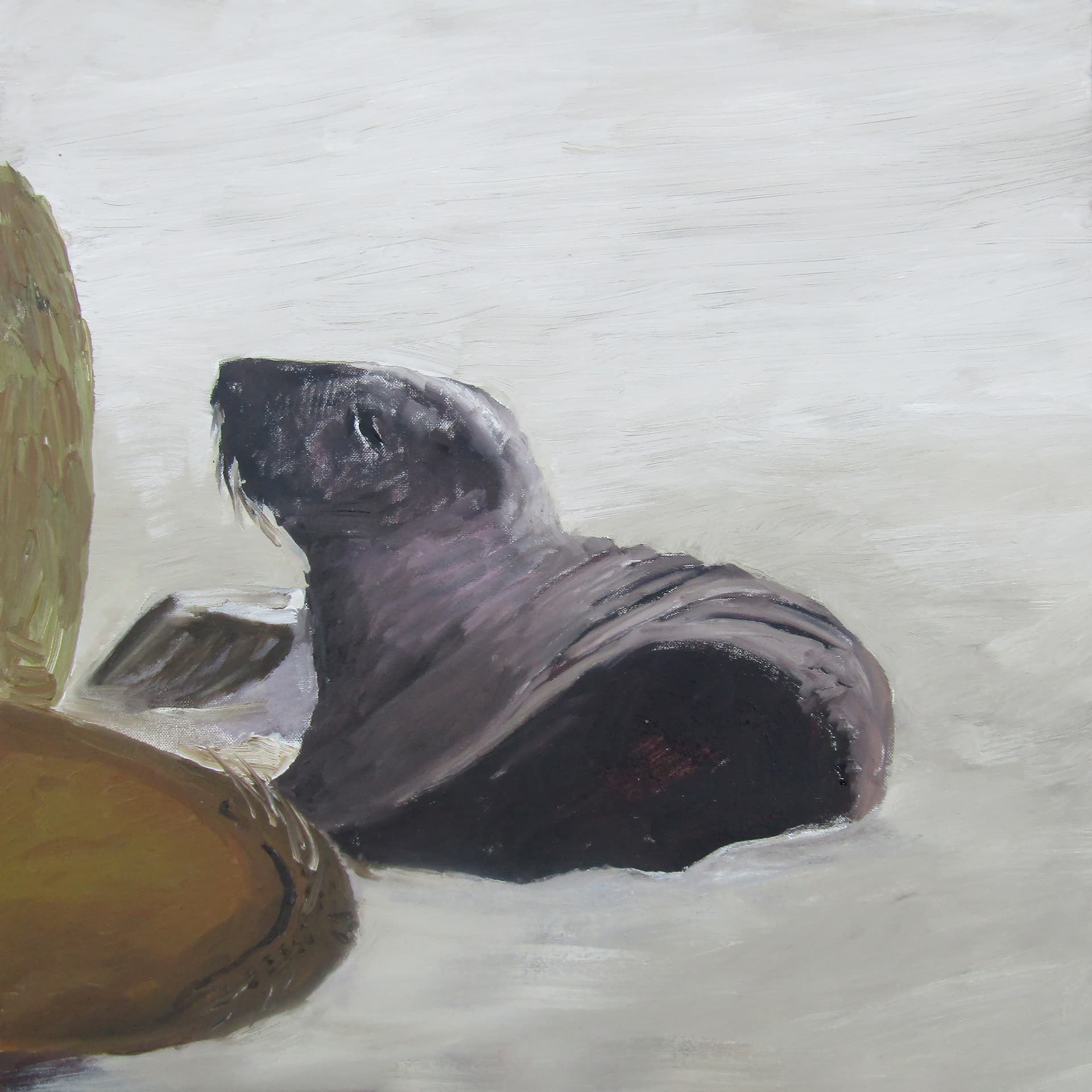 Seal Pup 2026