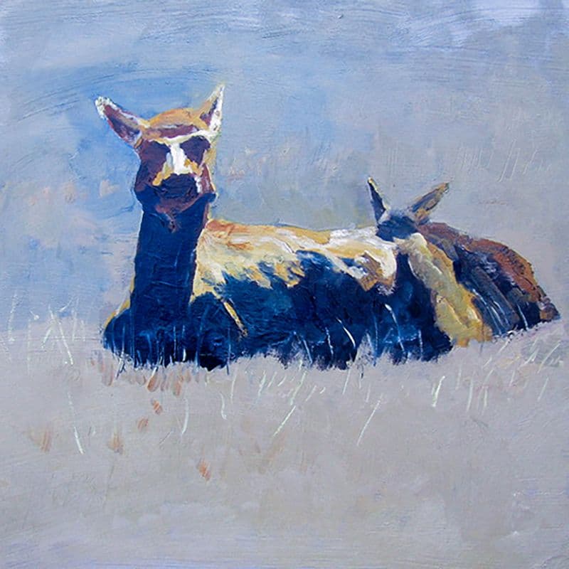 Tule Elk Mom